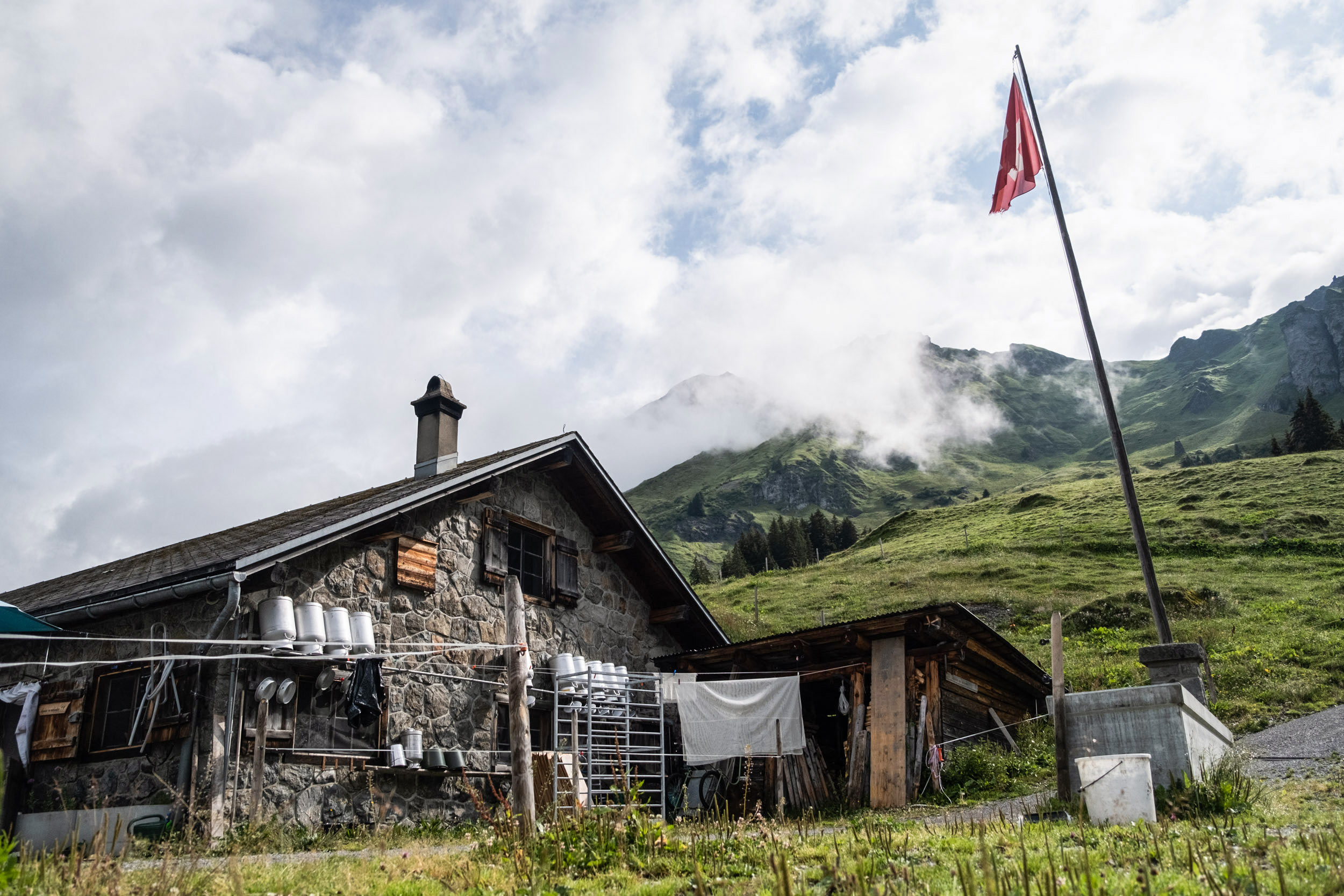 riseten_LS_2023_5145